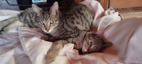 Gordi und Chiqui (1)